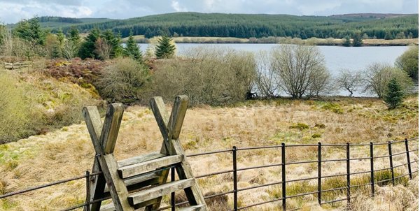 What is “Nearly Wild Camping”? And Why You Should Definitely Try it This Summer