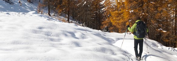 Winter Walks - Cold Weather Considerations